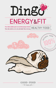 DINGO Energy and Fit