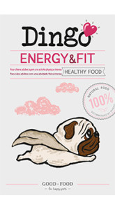 DINGO Energy and fit icon