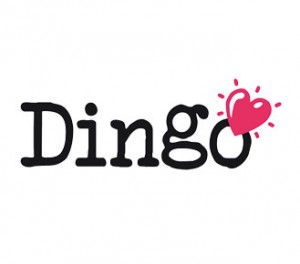 dingo-accueil